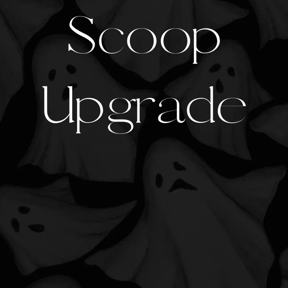 Scoop Upgrade - Picture 1 of 1
